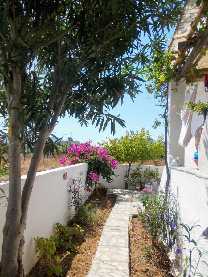 Nyfes Traditional Boutique Frosyni İskiri Dış mekan fotoğraf